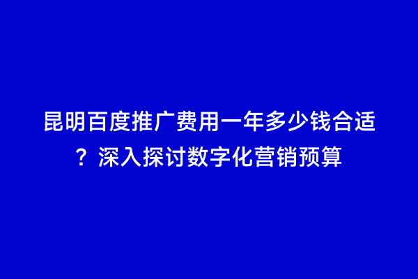 昆明百度推广费用一年多少钱合适？深入探讨数字化营销预算