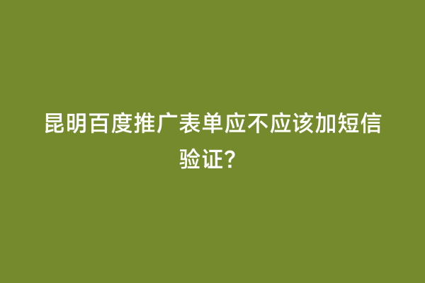 昆明百度推广表单应不应该加短信验证？