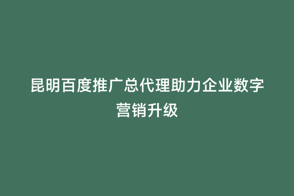 昆明百度推广总代理助力企业数字营销升级