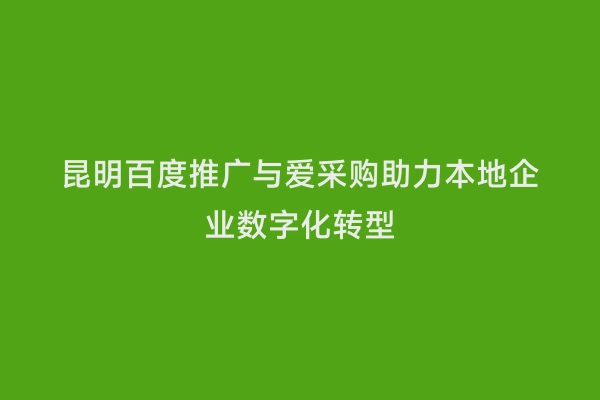 昆明百度推广与爱采购助力本地企业数字化转型