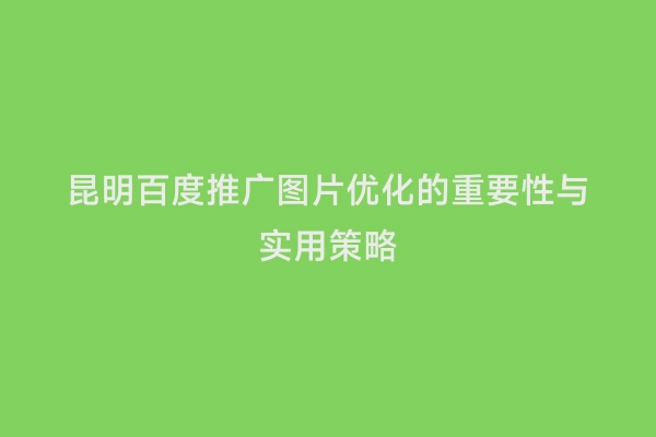 昆明百度推广图片优化的重要性与实用策略