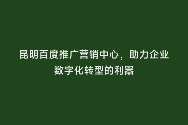 昆明百度推广营销中心，助力企业数字化转型的利器
