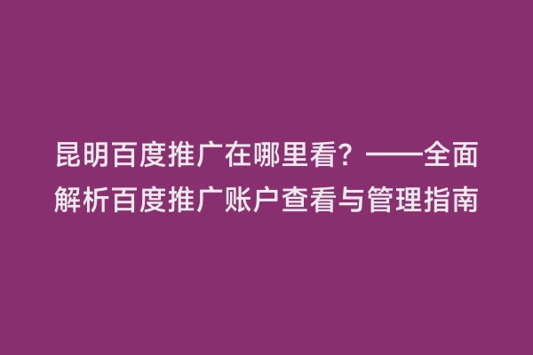 昆明百度推广在哪里看？——全面解析百度推广账户查看与管理指南
