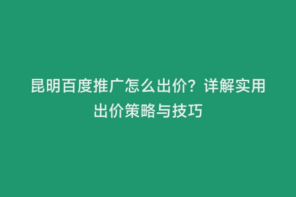 昆明百度推广怎么出价？详解实用出价策略与技巧