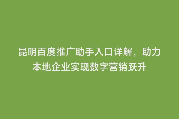 昆明百度推广助手入口详解，助力本地企业实现数字营销跃升