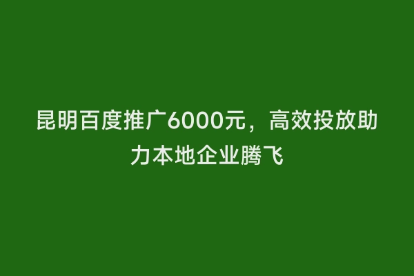 昆明百度推广6000元，高效投放助力本地企业腾飞