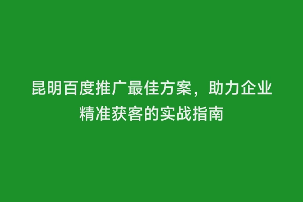 昆明百度推广最佳方案，助力企业精准获客的实战指南