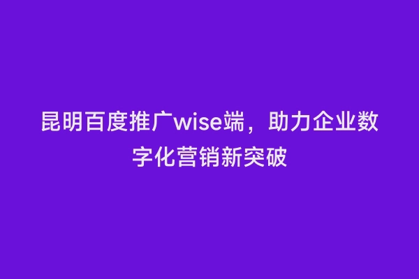 昆明百度推广wise端，助力企业数字化营销新突破