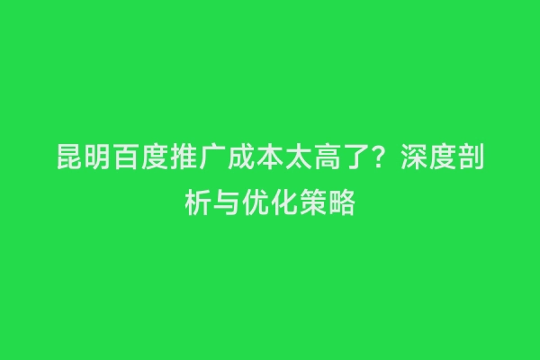 昆明百度推广成本太高了？深度剖析与优化策略