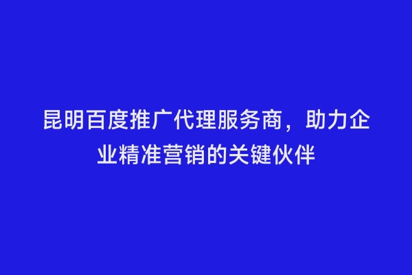 昆明百度推广代理服务商，助力企业精准营销的关键伙伴