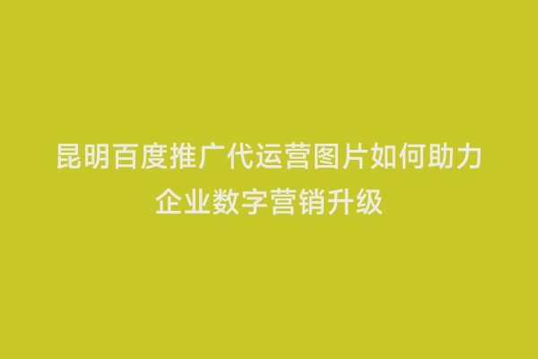 昆明百度推广代运营图片如何助力企业数字营销升级