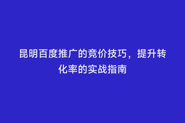 昆明百度推广的竞价技巧，提升转化率的实战指南