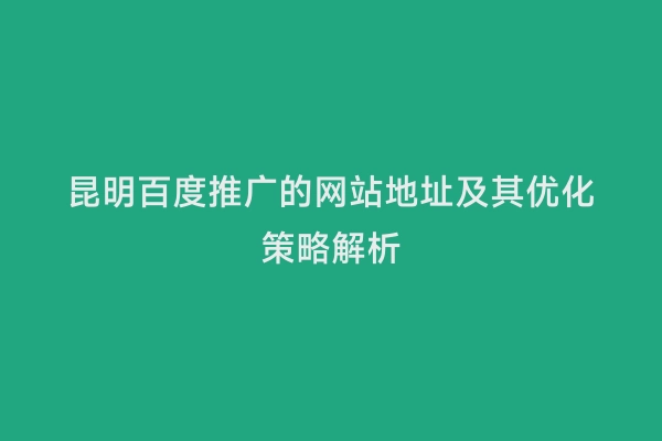 昆明百度推广的网站地址及其优化策略解析