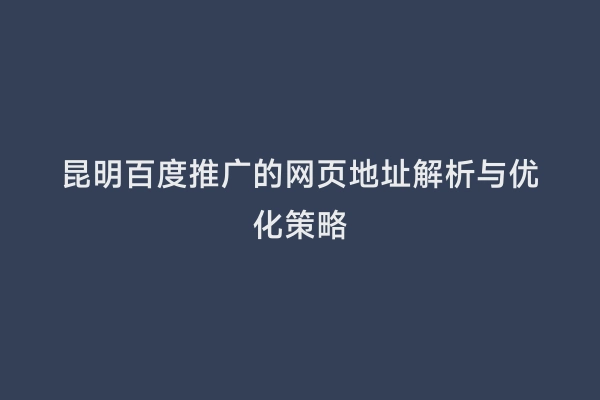 昆明百度推广的网页地址解析与优化策略