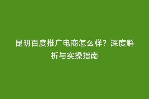 昆明百度推广电商怎么样？深度解析与实操指南