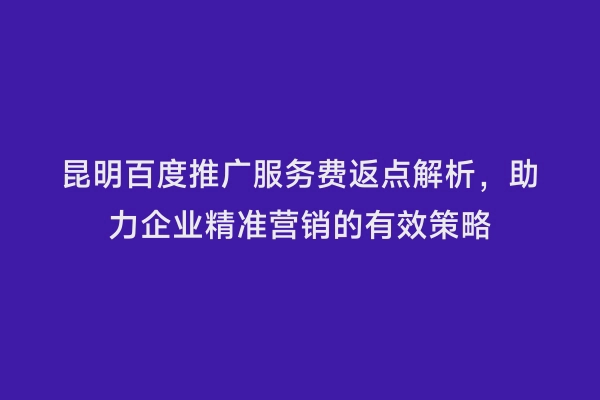 昆明百度推广服务费返点解析，助力企业精准营销的有效策略