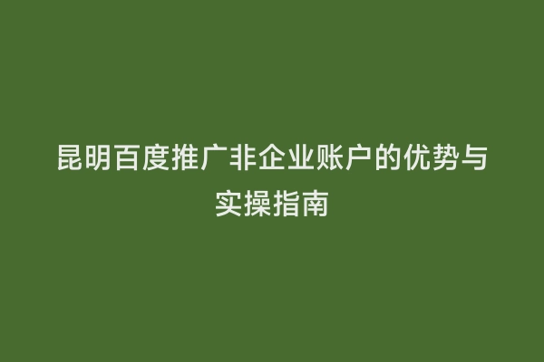 昆明百度推广非企业账户的优势与实操指南
